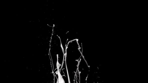 White paint splash in the air, Slow Motion alt