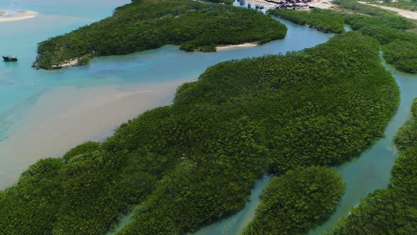 Aerial view of transparent river surrounded by rainforest, Cascalve, Brazil.