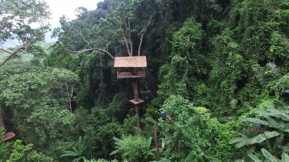 Ziplining To Tree House In Rainforest