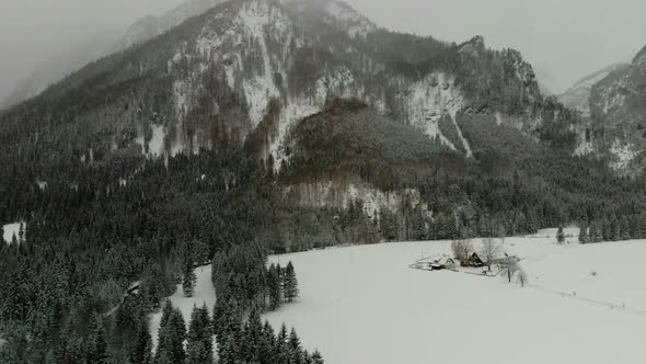 Beautiful view on an Forest with Mountains in Schiederweiher in Upper Austria Drone Video