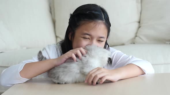 Cute Asian Chid Playing With Persian Kitten Together