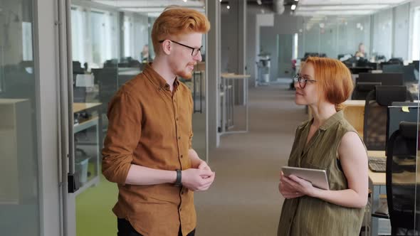 Portrait Of Young Office Workers