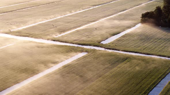 Aerial flyover of misty farm fields crossed with many small canals lit by early morning sun as flock