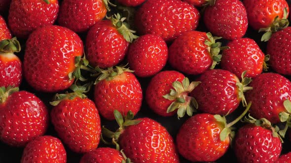 A Lot of Ripe and Fresh Strawberry