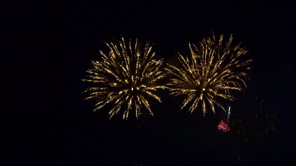 Colorful Firework display at night on sky background alt