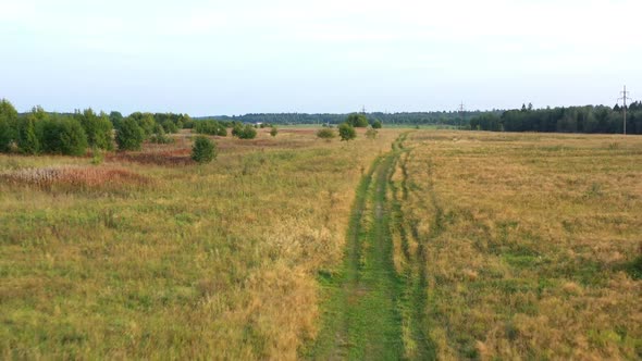 Autumn Field. Wild Nature