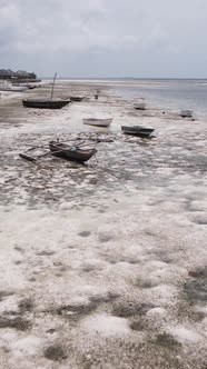 Tanzania  Vertical Video of Low Tide in the Ocean Near the Coast of Zanzibar Slow Motion