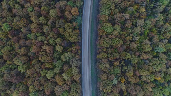 Aerial View of the Road Country Highway and Autumn Deciduous Forest