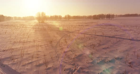 Aerial Drone View of Cold Winter Landscape with Arctic Field, Trees Covered with Frost Snow