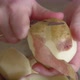 Hands Clean Organic Potatoes Closeup - VideoHive Item for Sale