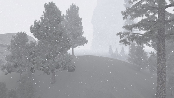 Snowfall  in the Forest