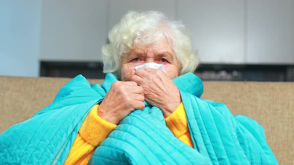 Old Woman Wrapped on Blue Blanked at Home Feel Sick Runny Nose