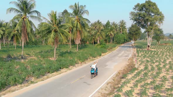 Lady Rides Motorbike Along Road Against Palm Trees Aerial