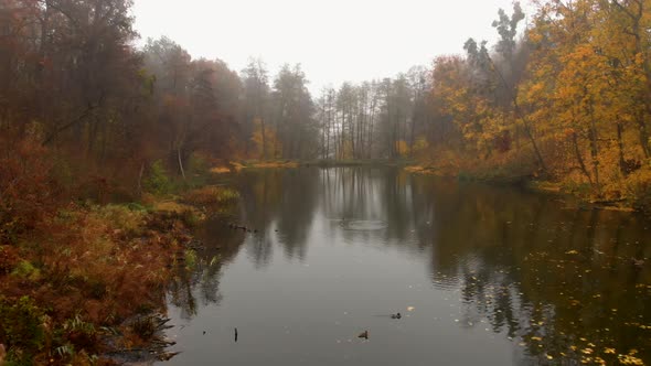 Aerial Drone Shot of Colorful Trees Over Small Lake in Fog in Autumn Park