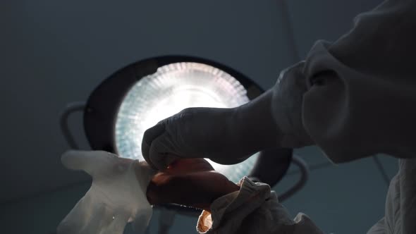 Doctor Preparing for Surgery in Operating Room Putting on Rubber Latex Gloves