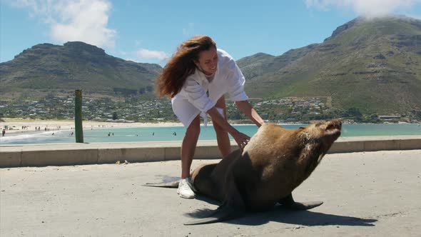 Woman in Contsct with a Fur Seal Inthe Wild Cape Town South Africa