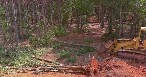 Trees Were Removed From a Subdivision for a Housing Development