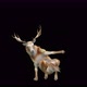 47 Deer Dancing 4K - VideoHive Item for Sale