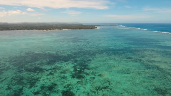 Tropical Beach with and Turquoise Sea