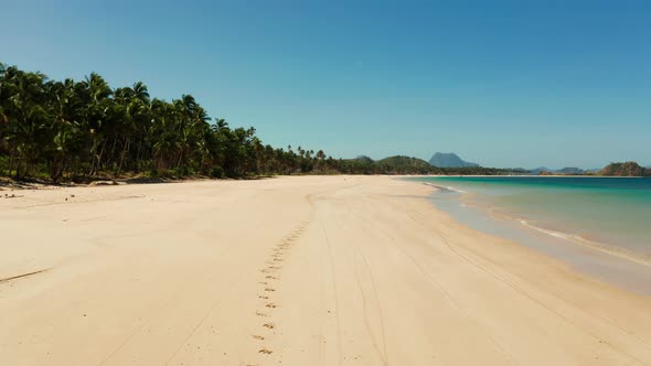 Tropical Beach with White Sand View From Above