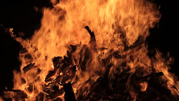 Big Bonfire Burns at Night on a Black Background