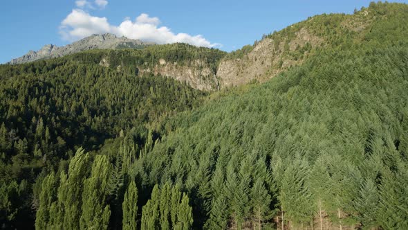 Aerial dolly in over a pine tree forest with Corbata Blanca waterfall between mountains in backgroun