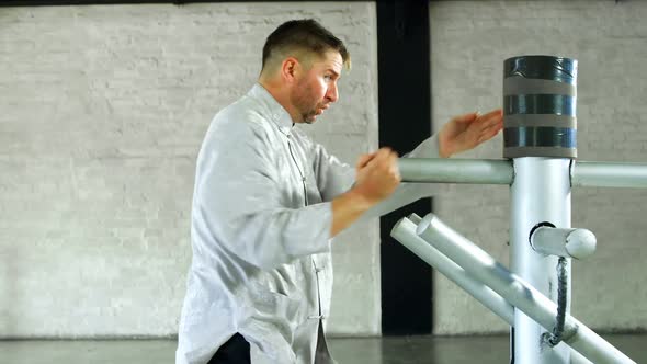 Kung fu fighter practicing martial arts with wooden dummy 