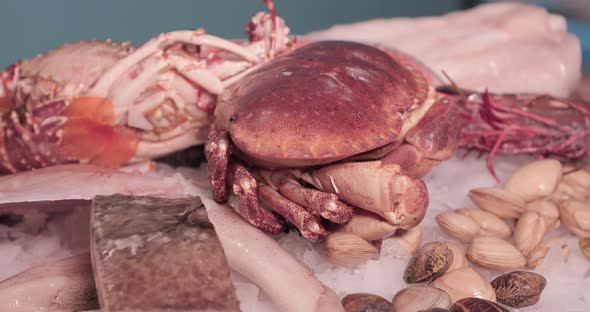 Live Crab, Clams, And Fish Cuts On Display On Top Of The Ice