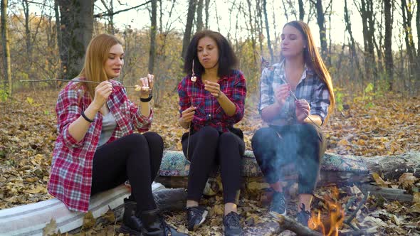 Female Friends Roasting Marshmallows at Picnic