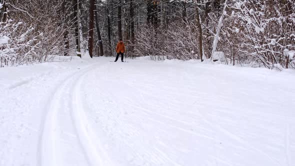 Skier skating on skis in snowy forest with snow. Cross-country skiing