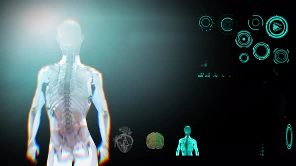 medical Interface, analysis of Human Male Anatomy on Futuristic Screen  3D render