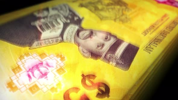 Brunei dollar money counting seamless loop