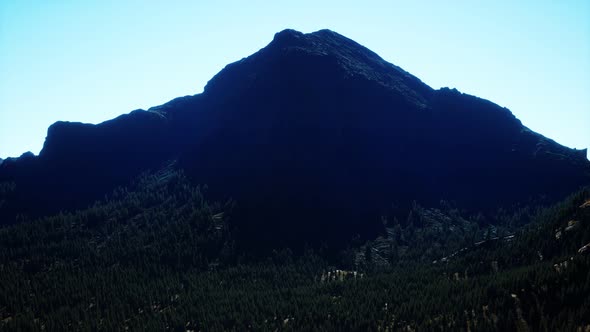 Panorama of Cone Forest at Mountains