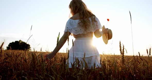 A Woman Happily Walking Through a Field Touching with Hand Wheat Ears and Sunlight in Wheat Field at