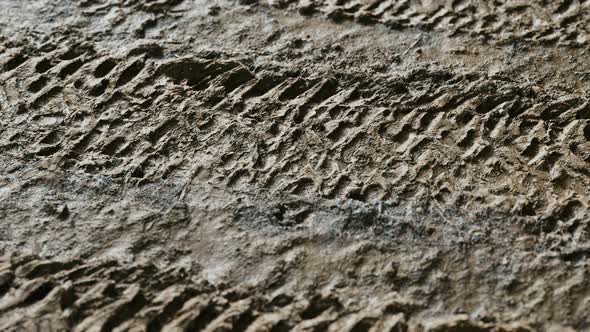 Wheel Tracks on Rough Road alt