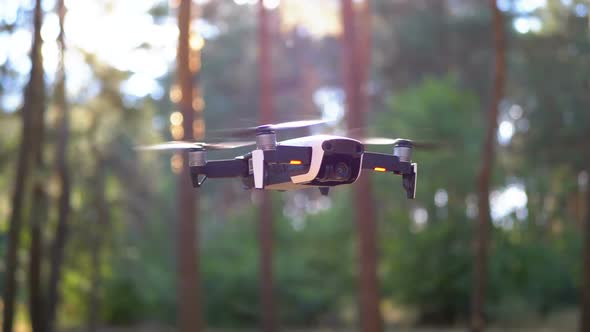 Drone with a Camera Hovers in the Air. Flies Above the Ground in the Forest. Slow Motion