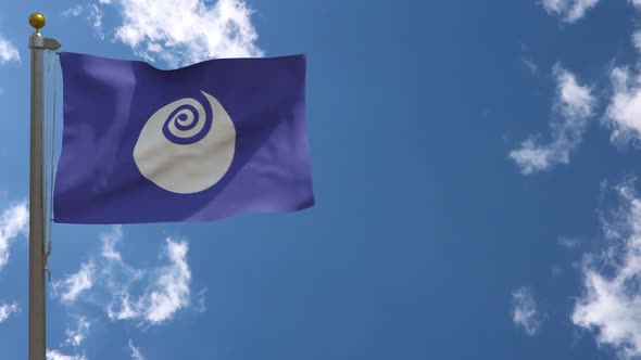 Ibaraki Prefecture Flag Japan On Flagpole