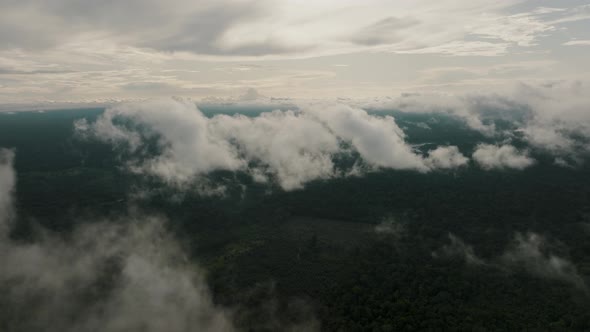 Clouds moving in over tropical jungle, South America; drone tilt-down