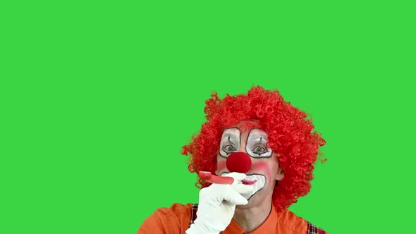 Funny Clown Blowing a Pipe on a Celebration on a Green Screen, Chroma Key