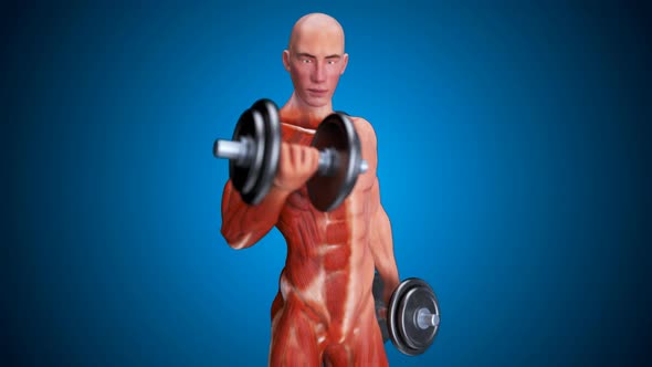 3D abstract art of a man doing biceps curls