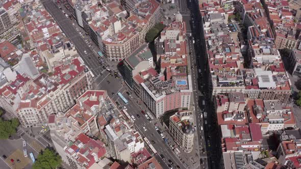 Barcelona City Streets with Vehicles in the Summer