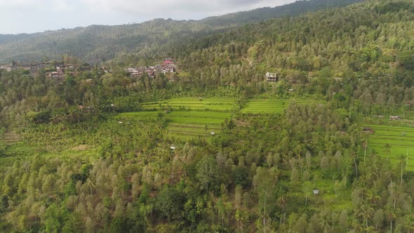 Tropical Landscape with Agricultural Land in Indonesia