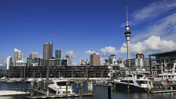 Auckland rich city centre