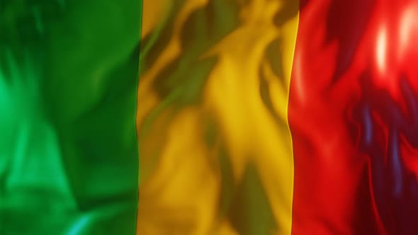 Mali Flag with Edge Bump