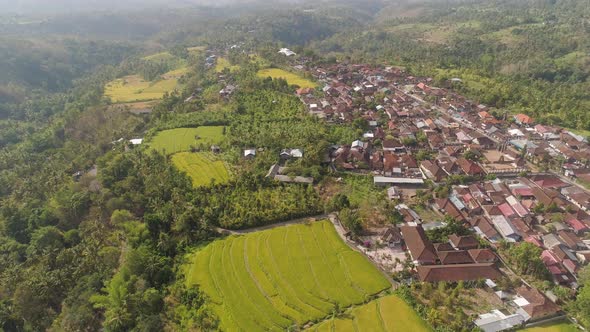 Tropical Landscape with Agricultural Land in Indonesia