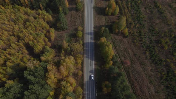 Road and moving cars between colorful autumn forest in Ural