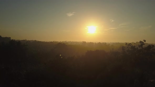 Sunrise in Udawalawe National Park with Lush Trees