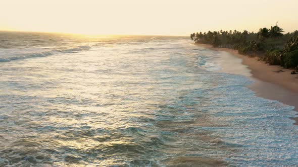 waves on the beach at sunset, palm trees