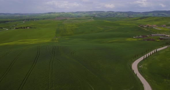 5752 Aerial, A Road With Cypresses In Tuscany Fields And Hills