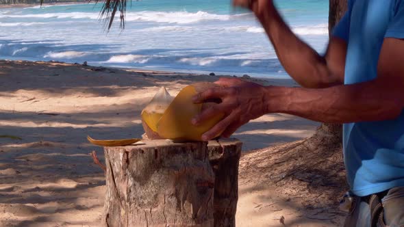 Man cuts coconut from water to offer to tourists on a tropical beach